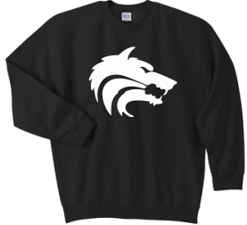 CTMS Sweatshirt image 0