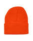 Adult Plain Beanie