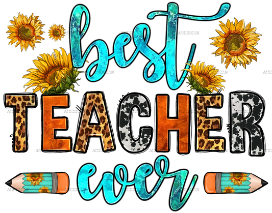 Best_Teacher_Ever.png