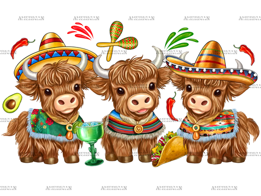 Cinco_De_Mayo_Heifers-2.png