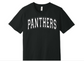 Panthers Bella+Canvas Unisex Tee image 0