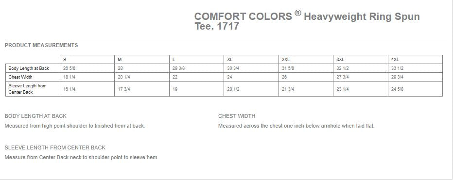 FWC Cheer Pennant Comfort Color Tee image 1