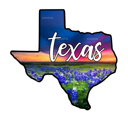 Texas_sunset_blue_bonnets