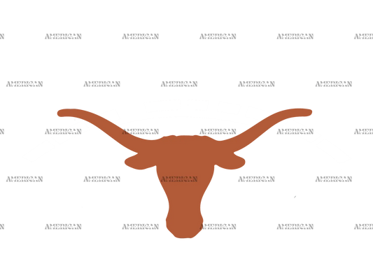 Longhorns_Texas_Orange