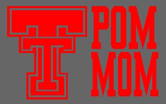 Vinyl Car Decal / Sticker image 0