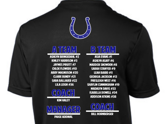 CMS Volleyball Sweet 16 Dri Fit Unisex Tee image 1