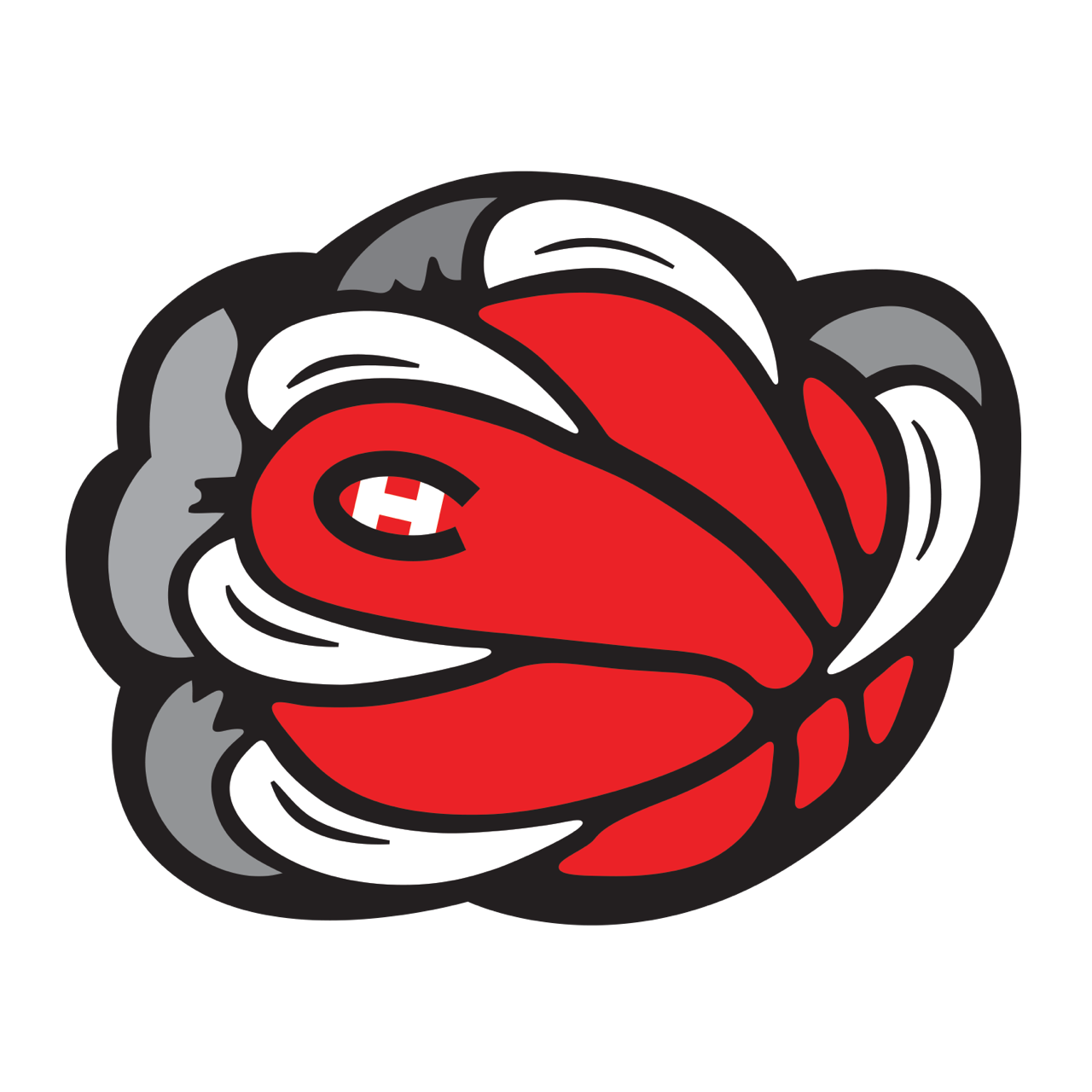 CHHS Comfort Colors Long Sleeve Paw image 1