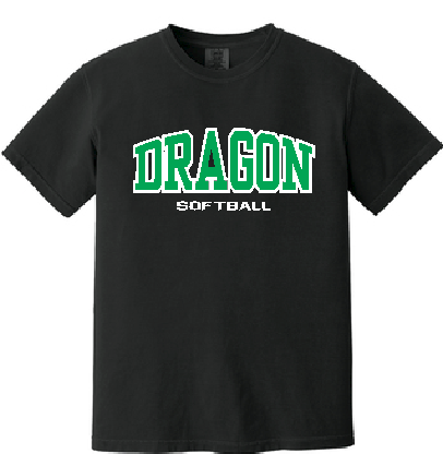 LDSB Block Comfort Colors Tee image 0