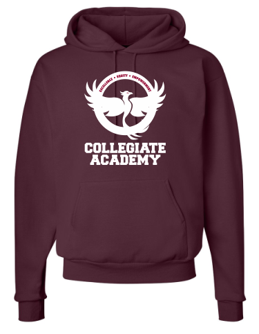 CA Pullover Hoodie image 0