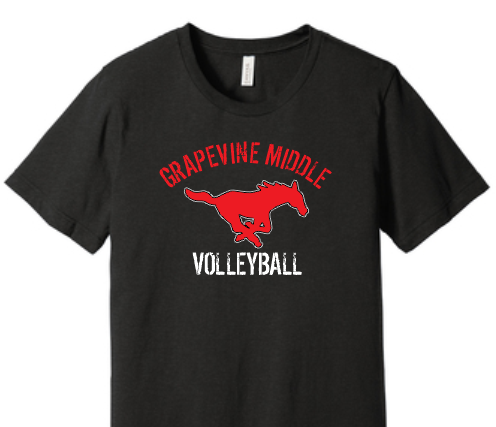 GMS Volleyball Tee image 0