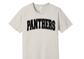 Panthers Bella+Canvas Unisex Tee image 1