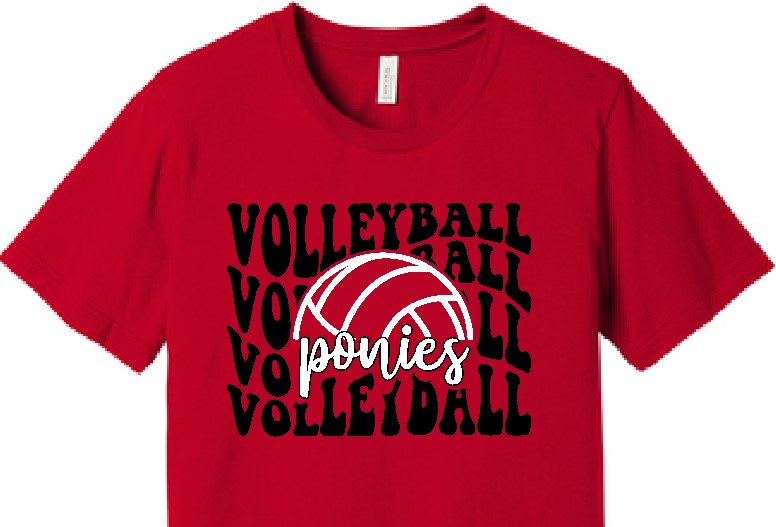 GMS Volleyball Tee image 0
