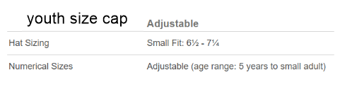 COLS Unstructured Dad Cap Adult and Youth