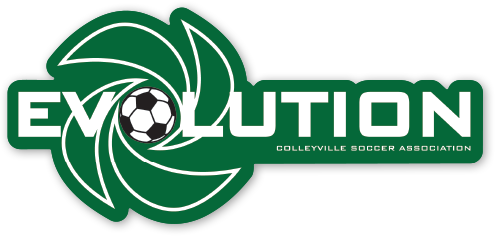 Evolution Window Decal image 0