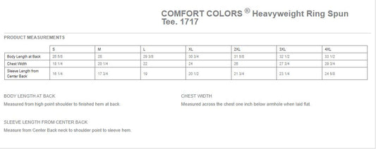 S12 Leopard Comfort Colors Tee image 1