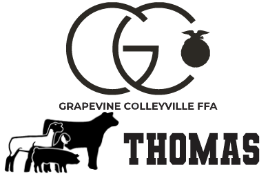 GCFFA Pillowcase image 1