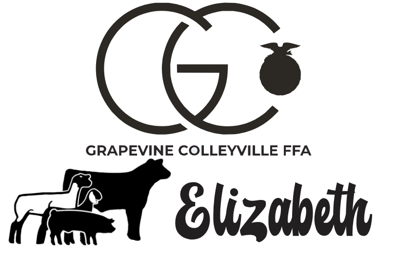 GCFFA Pillowcase image 0