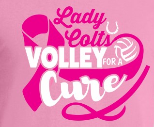 Volleyball CMS Pink Out T-Shirt image 1