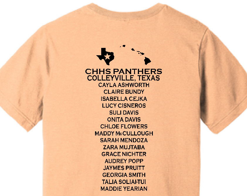 CHVB Hibiscus T-shirt image 1