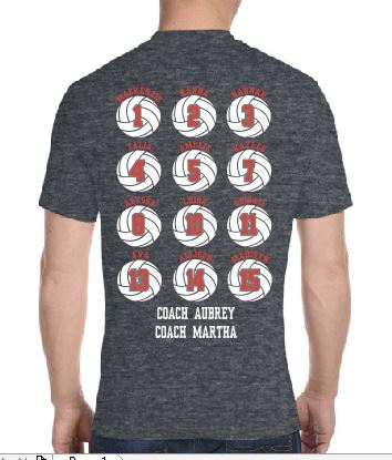 Tejas Volleyball Roster T Shirt image 1