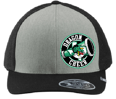 DC Travis Mathew 110 Logo Cap image 1