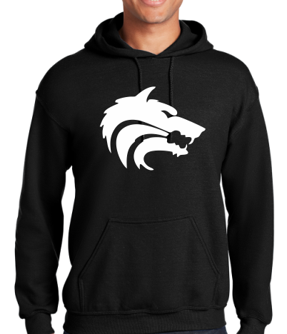 CTMS Hoodie image 0