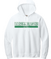 LDSB Dragons Comfort Colors Hoodie image 0