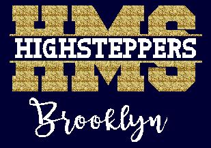 Highsteppers V Neck Team Shirt image 1