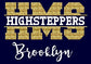 Highsteppers V Neck Team Shirt image 1